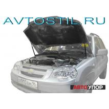 Niva   2 