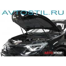 RAV4 Амортизаторы капота 2 шт