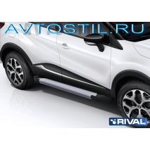 Kaptur   