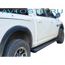 Ram 2009     230 