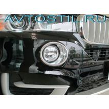 X5 F15 2013      