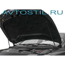 GLA 117 2013   2 