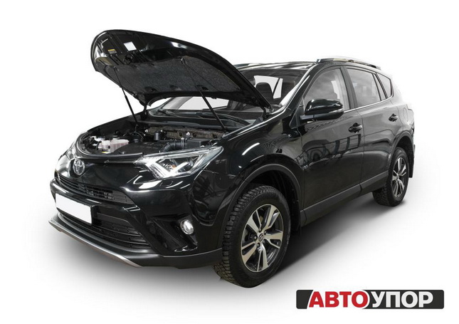   Toyota RAV4 (2016.-)